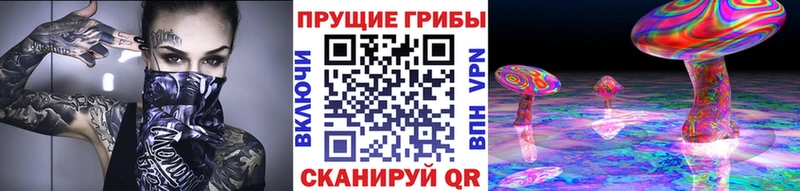 Псилоцибиновые грибы мицелий Благодарный