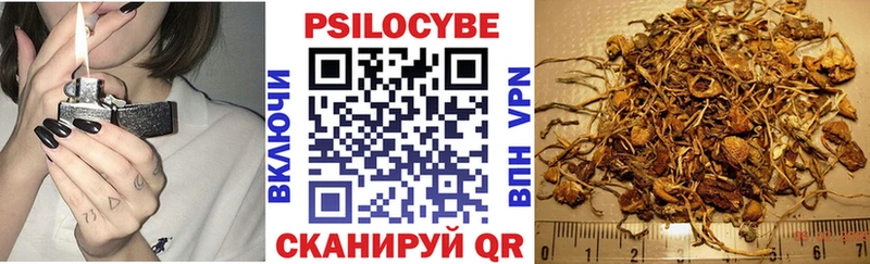 МЕГА ссылки  Благодарный  Галлюциногенные грибы Magic Shrooms  купить закладку 